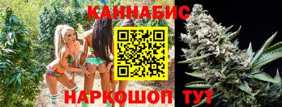 ешки Владимир