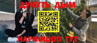 прущие грибы Владикавказ