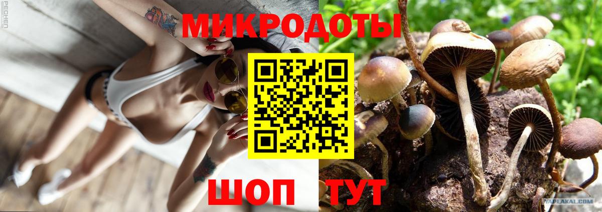 Галлюциногенные грибы Cubensis Волжск