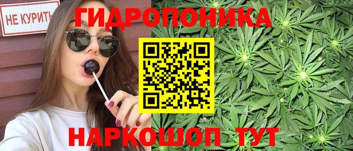 Канабис OG Kush Волжск